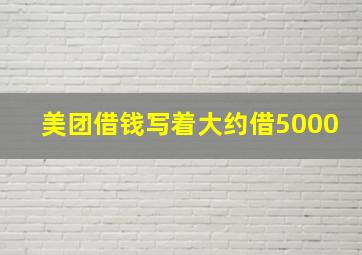 美团借钱写着大约借5000