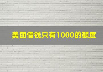 美团借钱只有1000的额度