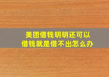 美团借钱明明还可以借钱就是借不出怎么办