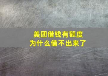 美团借钱有额度为什么借不出来了