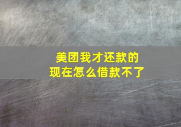 美团我才还款的现在怎么借款不了