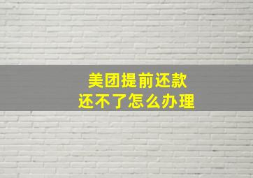 美团提前还款还不了怎么办理