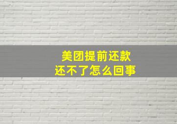 美团提前还款还不了怎么回事