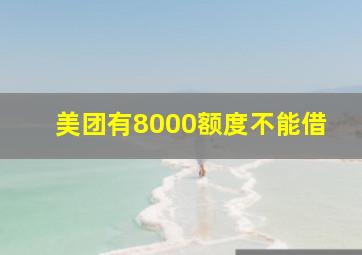 美团有8000额度不能借