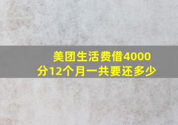 美团生活费借4000分12个月一共要还多少