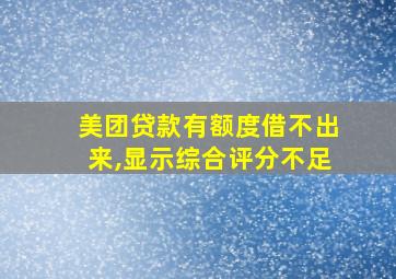 美团贷款有额度借不出来,显示综合评分不足