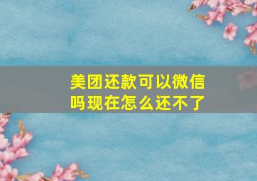 美团还款可以微信吗现在怎么还不了