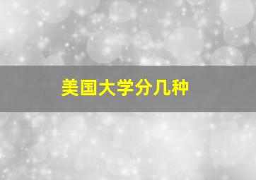 美国大学分几种