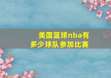 美国篮球nba有多少球队参加比赛