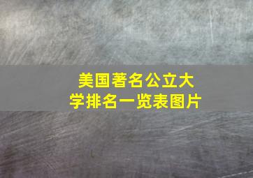 美国著名公立大学排名一览表图片