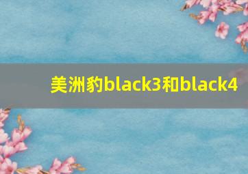 美洲豹black3和black4