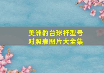 美洲豹台球杆型号对照表图片大全集