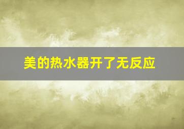 美的热水器开了无反应