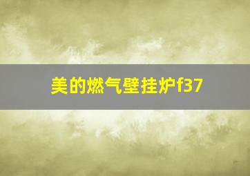 美的燃气壁挂炉f37