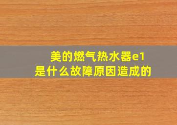 美的燃气热水器e1是什么故障原因造成的