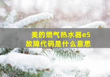 美的燃气热水器e5故障代码是什么意思