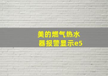 美的燃气热水器报警显示e5