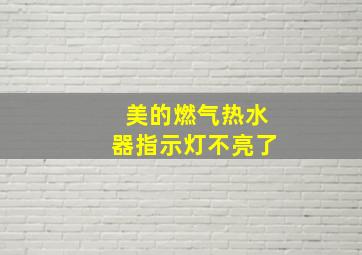 美的燃气热水器指示灯不亮了