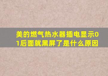 美的燃气热水器插电显示01后面就黑屏了是什么原因