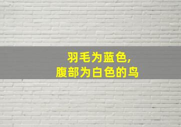 羽毛为蓝色,腹部为白色的鸟