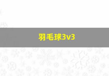 羽毛球3v3