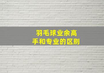 羽毛球业余高手和专业的区别