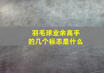 羽毛球业余高手的几个标志是什么