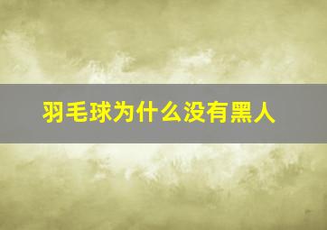 羽毛球为什么没有黑人