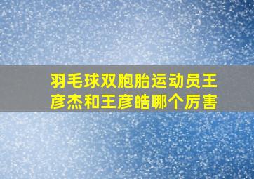 羽毛球双胞胎运动员王彦杰和王彦皓哪个厉害