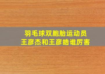 羽毛球双胞胎运动员王彦杰和王彦皓谁厉害