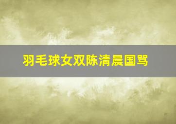 羽毛球女双陈清晨国骂