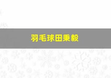 羽毛球田秉毅