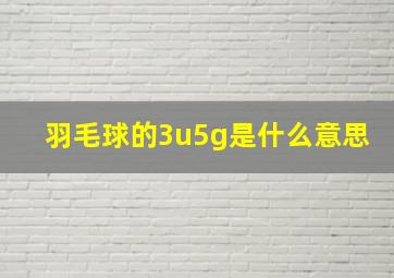 羽毛球的3u5g是什么意思