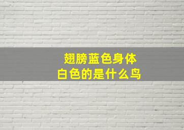 翅膀蓝色身体白色的是什么鸟