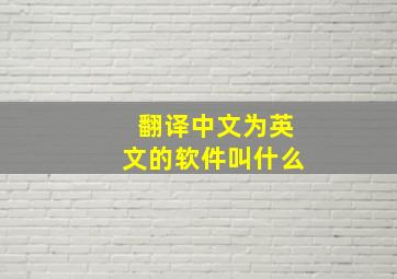 翻译中文为英文的软件叫什么