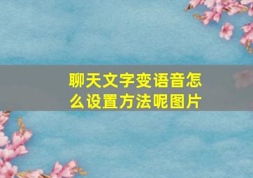 聊天文字变语音怎么设置方法呢图片