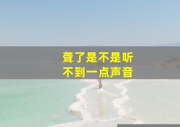 聋了是不是听不到一点声音