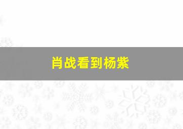 肖战看到杨紫