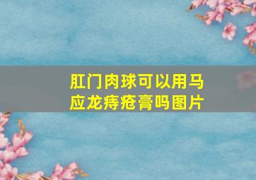 肛门肉球可以用马应龙痔疮膏吗图片