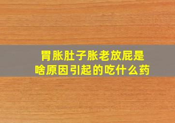 胃胀肚子胀老放屁是啥原因引起的吃什么药