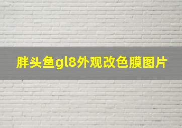 胖头鱼gl8外观改色膜图片