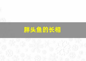 胖头鱼的长相