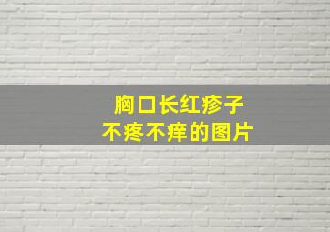 胸口长红疹子不疼不痒的图片