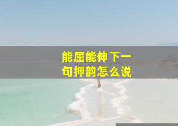 能屈能伸下一句押韵怎么说