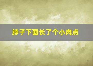 脖子下面长了个小肉点