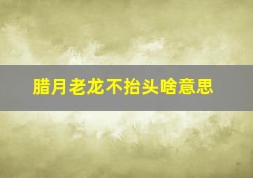 腊月老龙不抬头啥意思