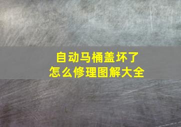 自动马桶盖坏了怎么修理图解大全