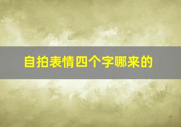 自拍表情四个字哪来的