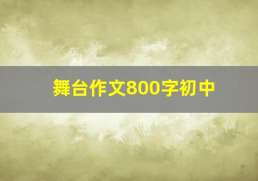 舞台作文800字初中