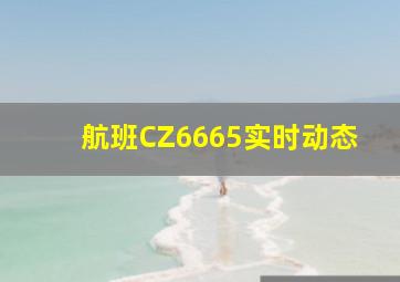 航班CZ6665实时动态